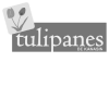 tulipanes-osroca